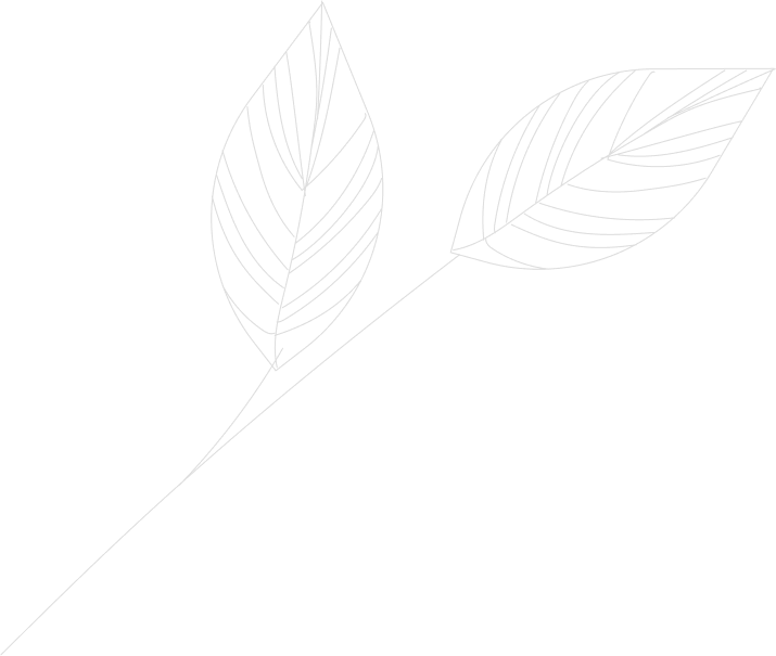 Chứng nhận ISO UKAS - Chứng nhận ISO 9001, ISO 14001, ISO 45001 ICSC SOCOTEC UK